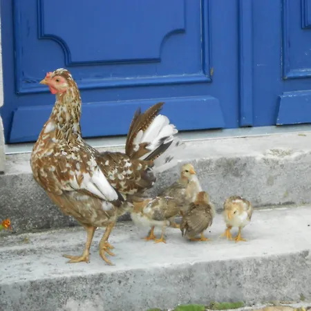 Chateau De Mavaleix Hotel *