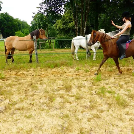 Hotel Chateau De Mavaleix Chalais (Dordogne)