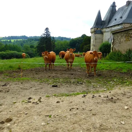 Hotel Chateau De Mavaleix *