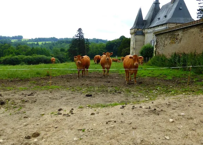 Hotel Chateau De Mavaleix *